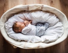 Every Thing You Need To Know About Moses Bassinet