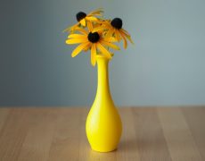 Find The Best Vases: Urban Meadow