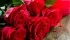 Benefits of Selecting the Right Real Forever Roses